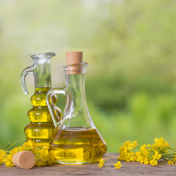 Is Vegetable Oil the Same as Canola Oil?